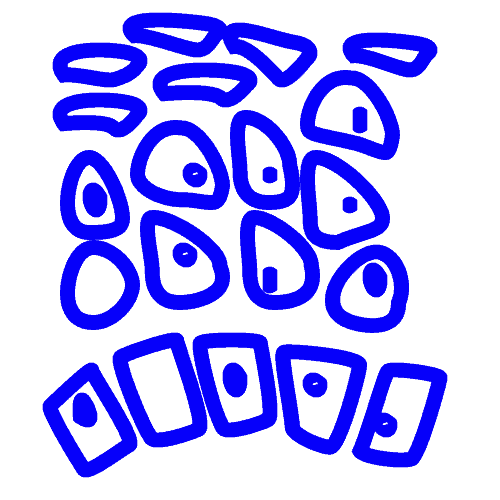 3D cell models - CYTENA - CYTENA